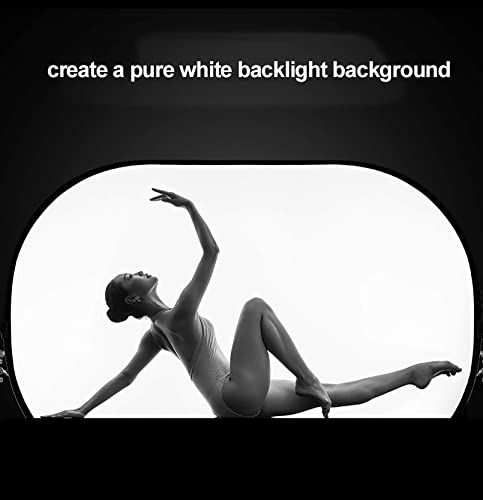 Oval Light Diffuser