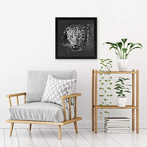 17x17 Picture Frame (17 Count)