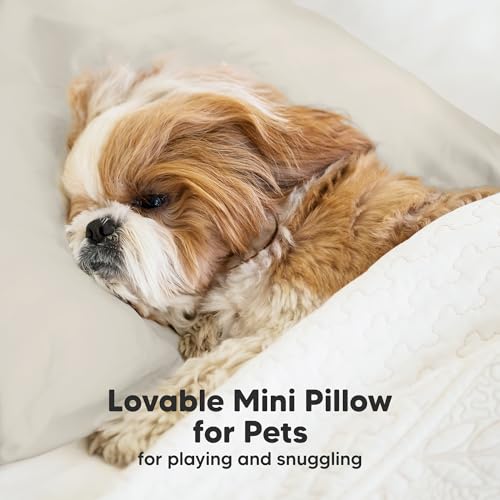 Mini Toddler Pillow with Pillowcase
