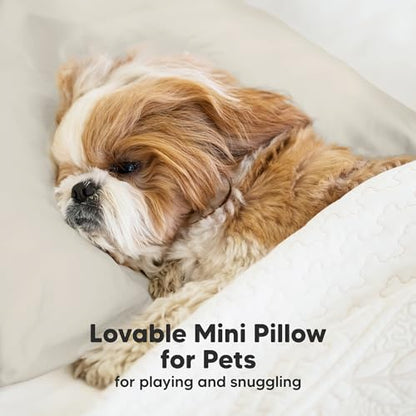 Mini Toddler Pillow with Pillowcase