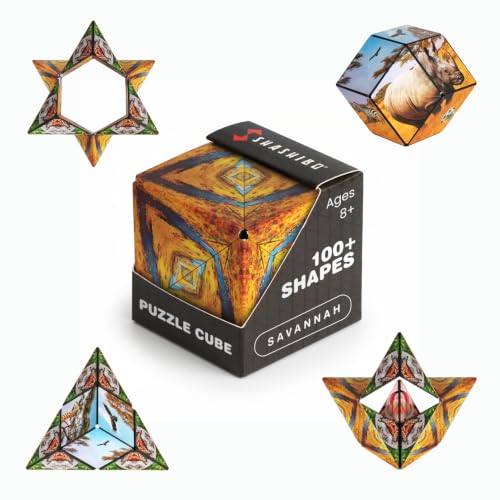 DODECA Magnetic Puzzle Cube