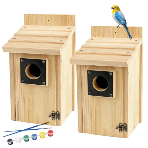 2 Pack Wood Bird Houses for Outside with Paint Set for Bluebird Finch Swallow Wren Chickadee