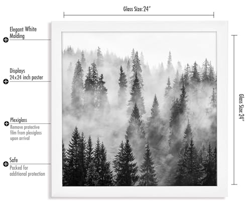 24x24 Poster Frame