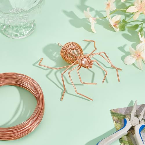 32.81 Feet Solid Copper Wire (32.81 Foot)