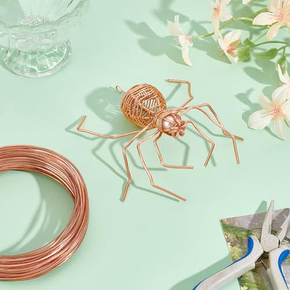 32.81 Feet Solid Copper Wire (32.81 Foot)