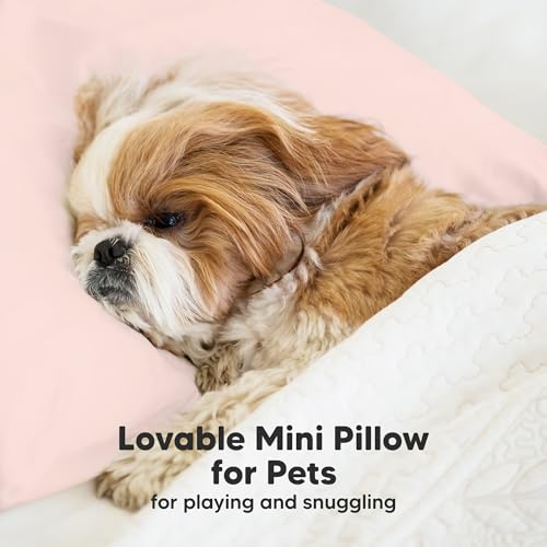 Mini Toddler Pillow with Pillowcase