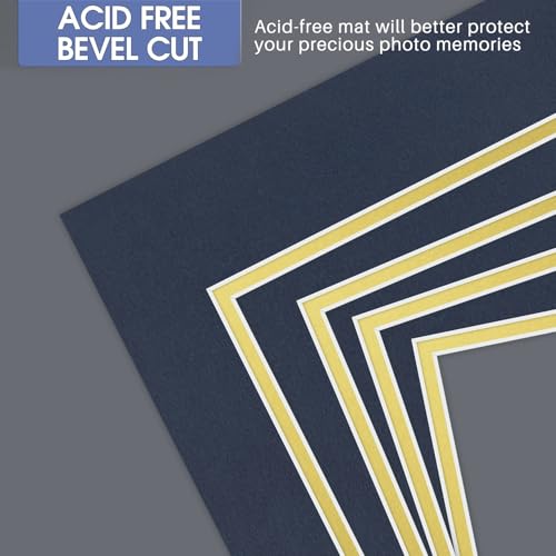 5 Pack Double mat 11x14 for 8x10 Photo Blue Over Gold