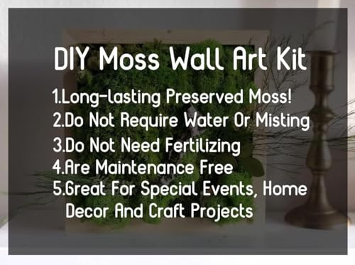 Preserved Reindeer Craft Moss Natural Green DIY Kit Gardenning Art Wall Florist Decor Easter Table Wedding Decor