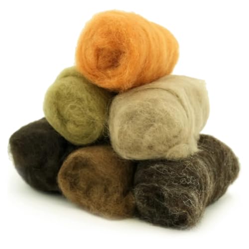 Wool Roving Kit for Needle Felting