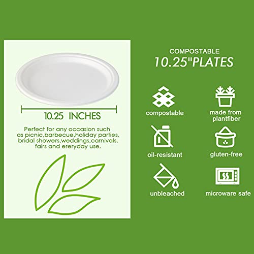 500 Pack Compostable Bagasse Paper Plates 10.25 inch (500 Count)