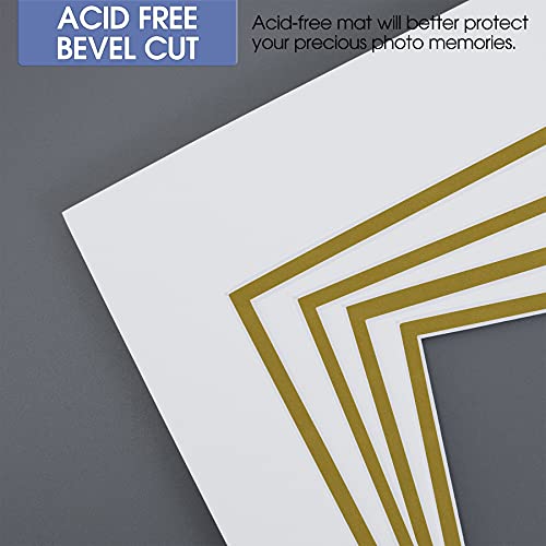 5 Pack Double mat 11x14 For 8x10 Photo Off White Over Gold (5 Count)