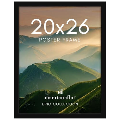 20x26 Poster Frame