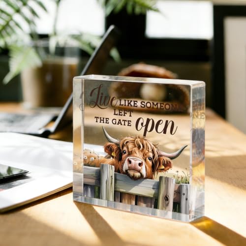 Cute Cow Decorative Signs