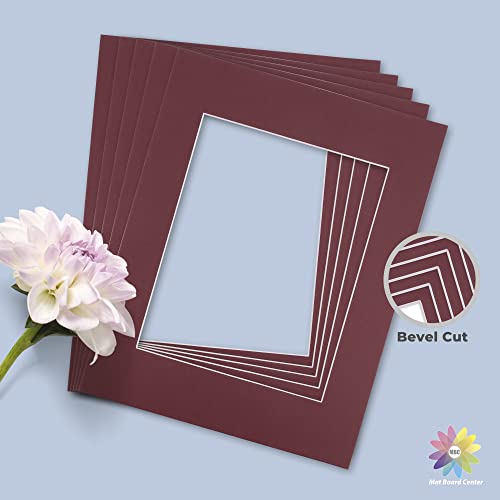 Mat Board Center 10 Pack 11x14 Photo Mats for 8x10 Picture (10 Count)