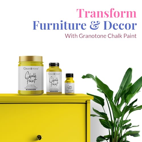 Chalk Paint Citron 4.1 fl oz 120 ml (4.1 Fl Oz)