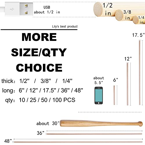 10PCS Bamboo Sticks (10 Count)
