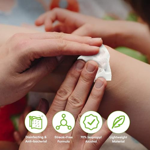 Alcohol Wipes (200 Count)