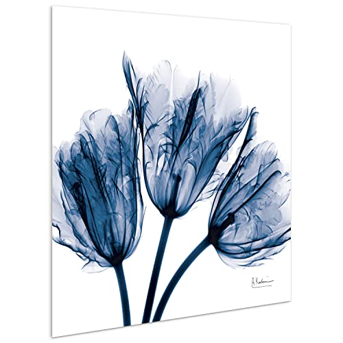 TMP-AK011A-2424 Blue Tulip X-Ray Flower Wall Art on Frameless Free Floating Tempered Glass Panel Ready to Hang, Living Room, Bedroom ＆ Office, 24" x 24" x 0.2"