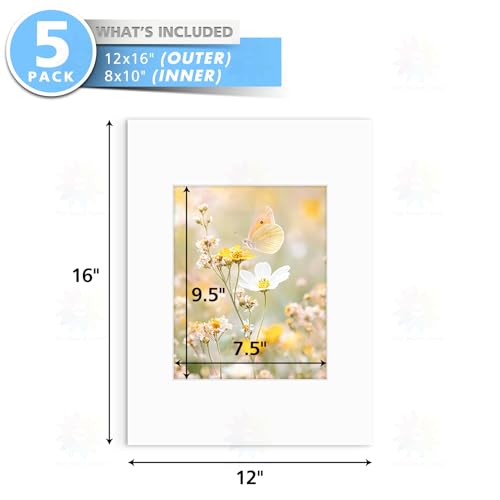 Mat Board Center 5 Pack Acid (5 Count)