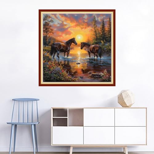 Cross Stitch Kits for Beginners Stamped Cross