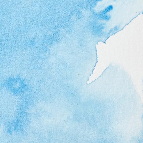 Professional Watercolor