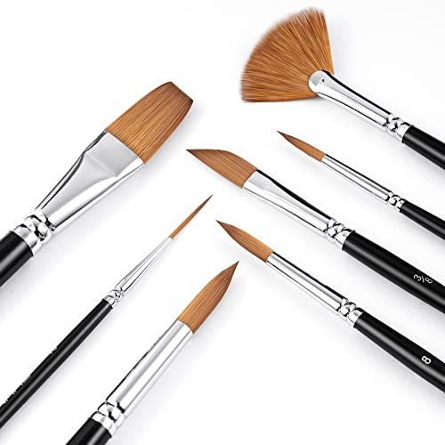 Sable Watercolor Brushes Professional Kolinsky Sable Brushes 7pcs (7 Count)