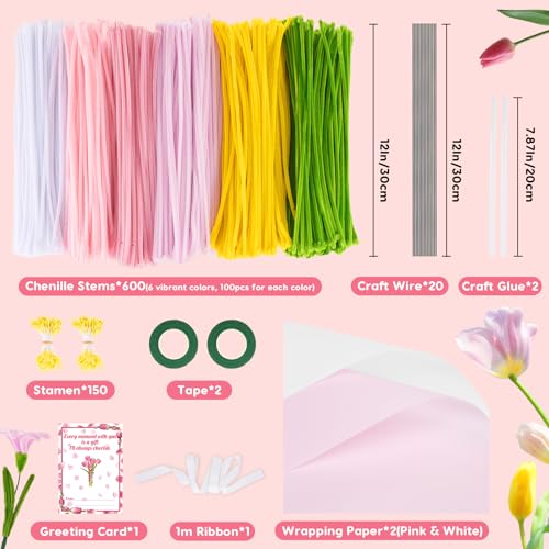 600PCS Pipe Cleaners Flower Kit (600 Count)