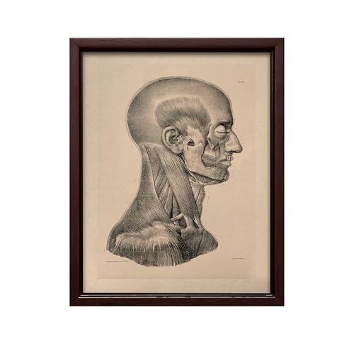 Vintage Science Canvas