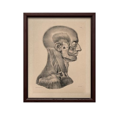 Vintage Science Canvas