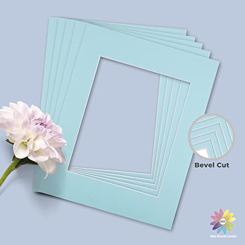 Mat Board Center 10 Pack 11x14 Photo Mats for 8x10 Picture (10 Count)