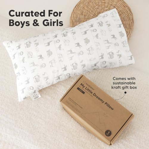 Toddler Pillow with Pillowcase