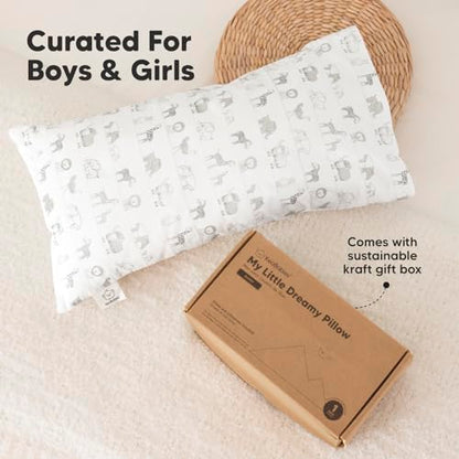 Toddler Pillow with Pillowcase