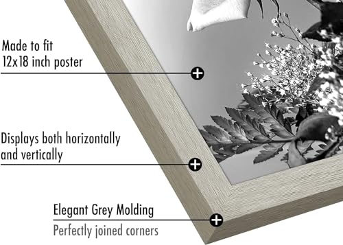 12x18 Poster Frame