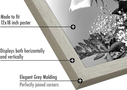 12x18 Poster Frame