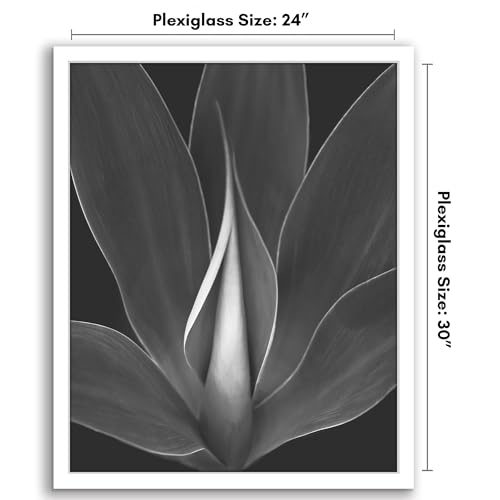 24x30 Poster Frame