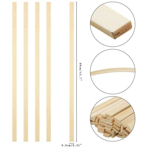Wood Craft Sticks (100 Count)