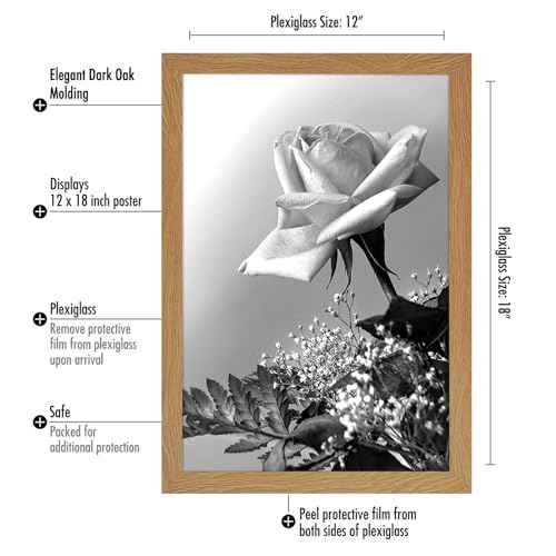 12x18 Poster Frame