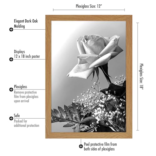 12x18 Poster Frame