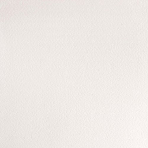 Professional Watercolor