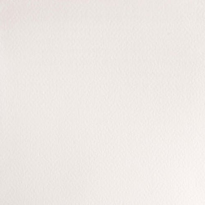 Professional Watercolor