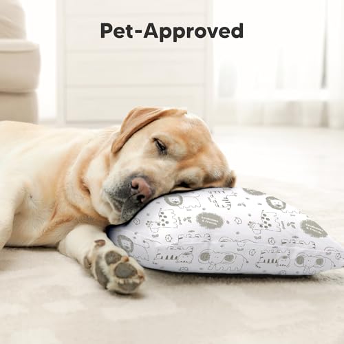 Toddler Pillow with Pillowcase