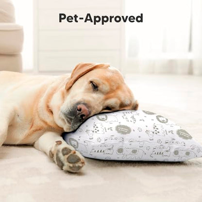 Toddler Pillow with Pillowcase