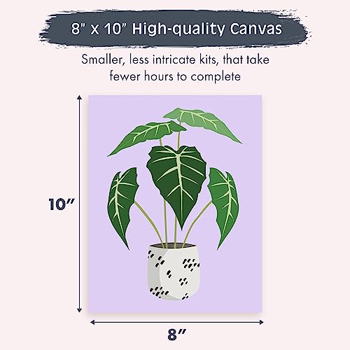Paint by Number Kit