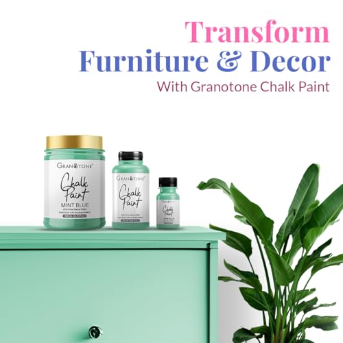 Chalk Paint Mint 8.5 fl oz 250 ml (8.5 Fl Oz)