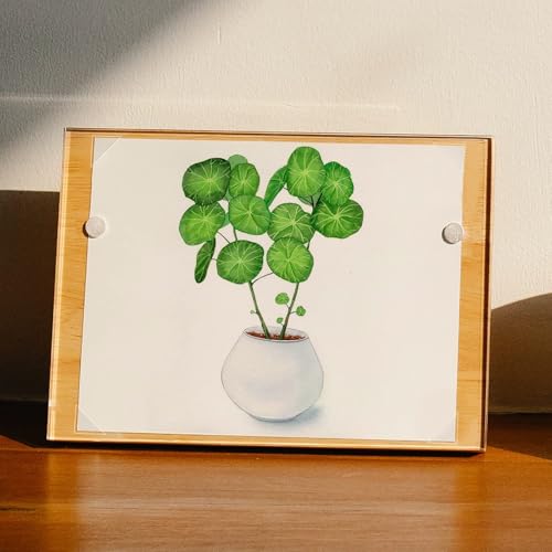 Infinity 0.625" Clear Archival Photo Corners