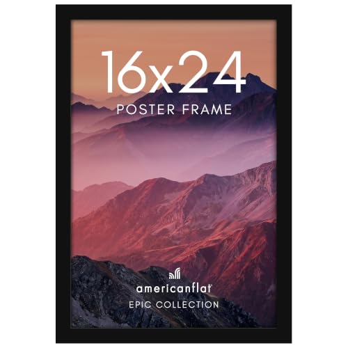 16x24 Poster Frame