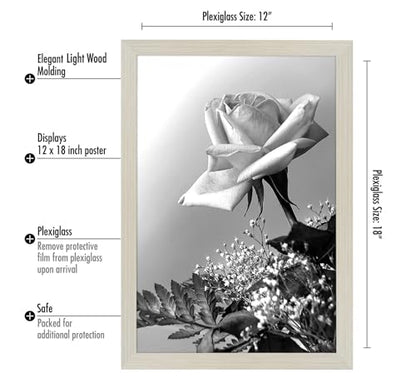 12x18 Poster Frame