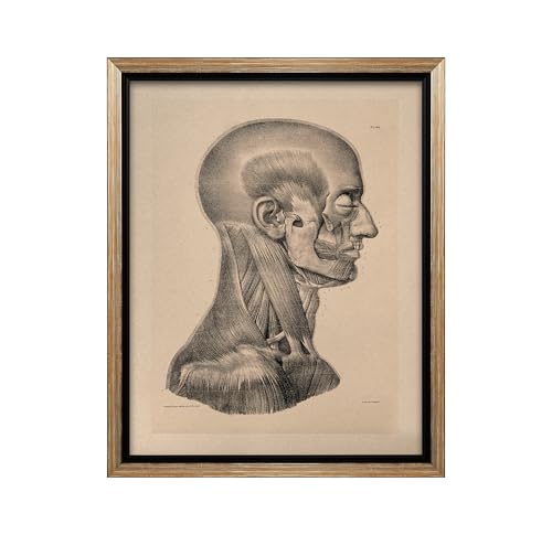 Vintage Science Canvas