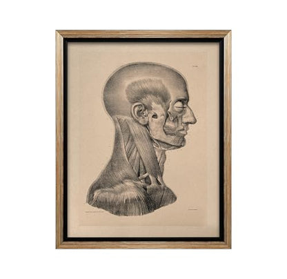Vintage Science Canvas