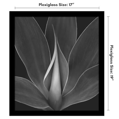 17x19 Poster Frame
